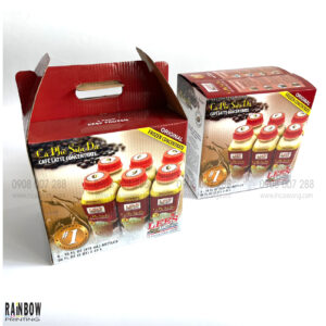 Mẫu Hôp Carton-ICV-HCT09